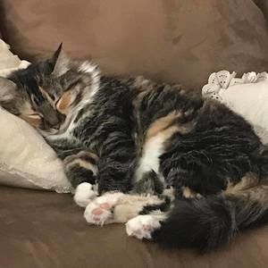 Meet your Posher, Jan